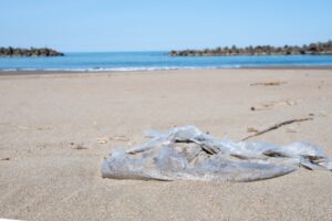 プラスチックの環境問題